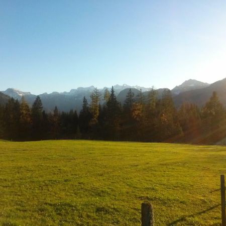 Ferienwohnung Am Bauernhof Koa Bad Goisern Luaran gambar