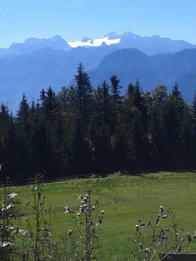 Ferienwohnung Am Bauernhof Koa Bad Goisern Luaran gambar